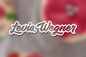 leviawegner-twitter